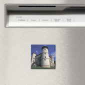 EUROPE, Polen, Karpatenberg, Nowy Wisnicz Magneet (Insitu (Vaatwasser))