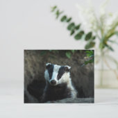 European Badger Briefkaart (Staand voorkant)