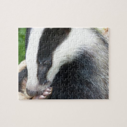 European Badger Face Legpuzzel (Horizontaal)
