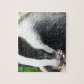 European Badger Face Legpuzzel (Verticaal)