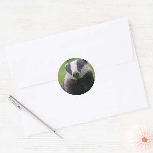 European Badger Sticker (Envelop)