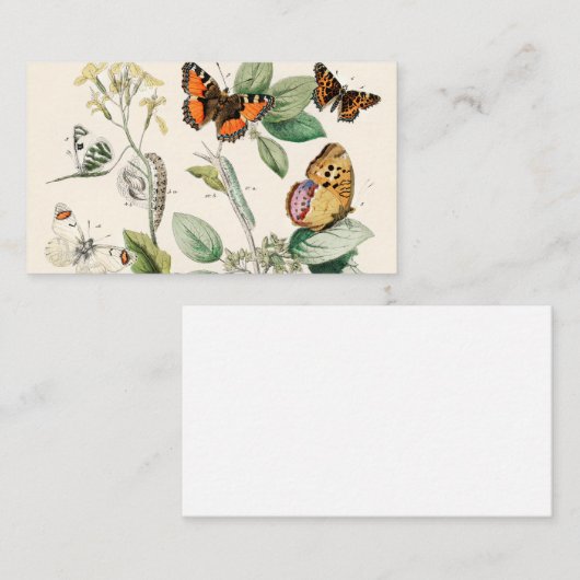 European Butterflies Moths William Forsell Kirby Visitekaartje (Voorkant / Achterkant)