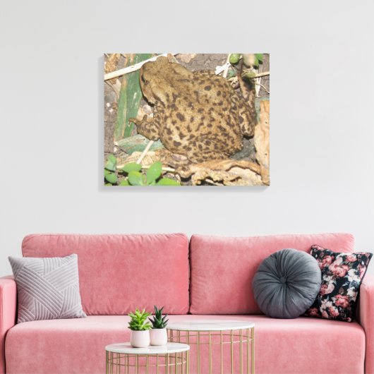 European Common Toad Canvas Print (Insitu (Woonkamer))