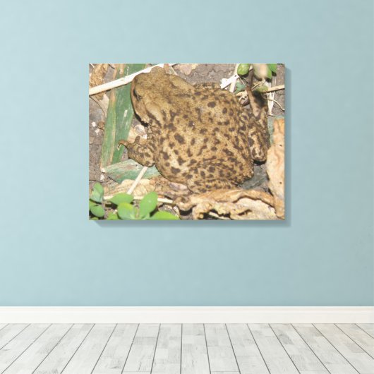 European Common Toad Canvas Print (Insitu (Houten vloer))