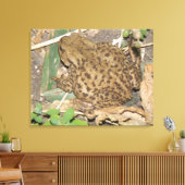 European Common Toad Canvas Print (Insitu (Woonkamer))