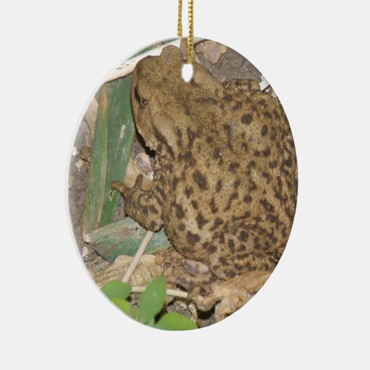 European Common Toad Custom Birthday Keramisch Ornament (Rechts)