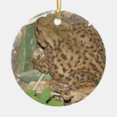 European Common Toad Custom Birthday Keramisch Ornament (Voorkant)