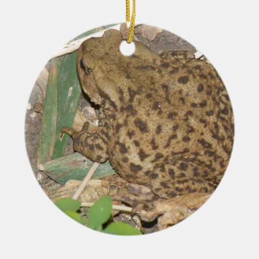 European Common Toad Custom Birthday Keramisch Ornament (Voorkant)