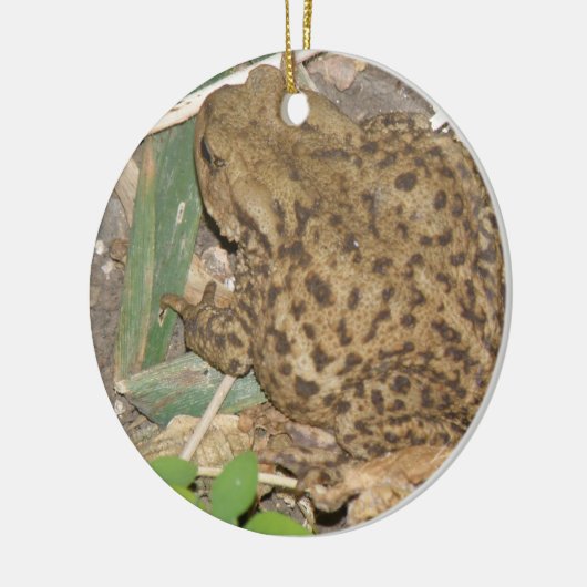 European Common Toad Custom Birthday Keramisch Ornament (Links)