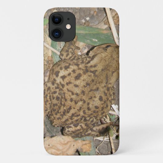 European Common Toad iPhone 3 Case (Achterkant)