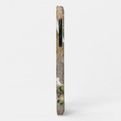 European Common Toad iPhone 3 Case (Achterkant/links)