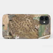 European Common Toad iPhone 3 Case (Achterkant (horizontaal))