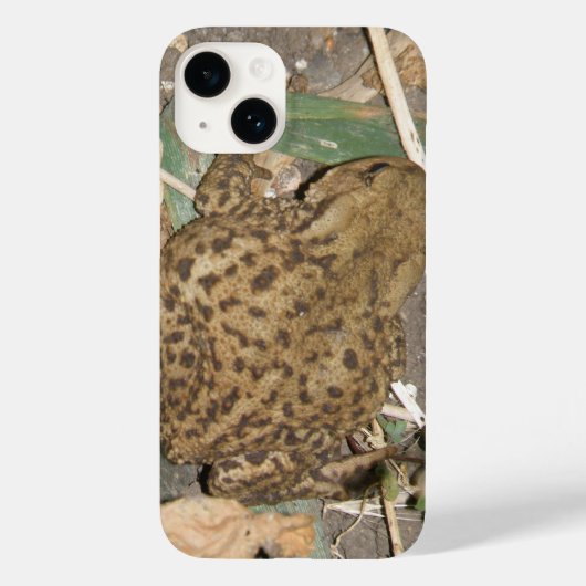 European Common Toad iPhone 5 Hoesje (Achterkant)