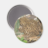 European Common Toad Magnet (Voorkant / Achterkant)