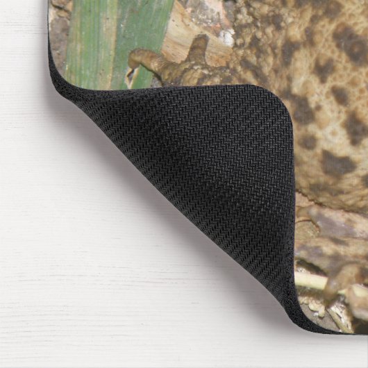 European Common Toad Mousepad Muismat (Hoek)