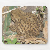 European Common Toad Mousepad Muismat (Voorkant)