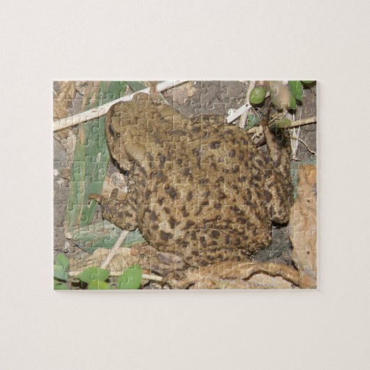 European Common Toad Puzzle Legpuzzel (Horizontaal)