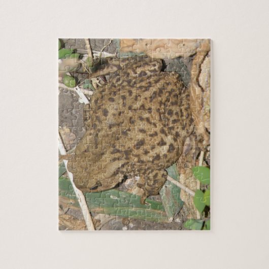 European Common Toad Puzzle Legpuzzel (Verticaal)