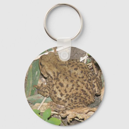 European Common Toad Sleutelhanger (Voorkant)