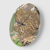 European Common Toad Wall klok (Hoek)