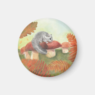 European Fat Dormouse (Glis glis) in Natuur Magneet