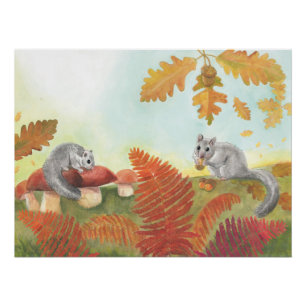 European Fat Dormouse (Glis glis) in Natuur Perfect Poster