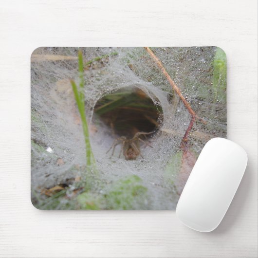 European Funnel Web Spider Mouse Mat Muismat (Met muis)
