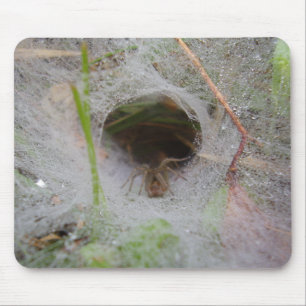 European Funnel Web Spider Mouse Mat Muismat