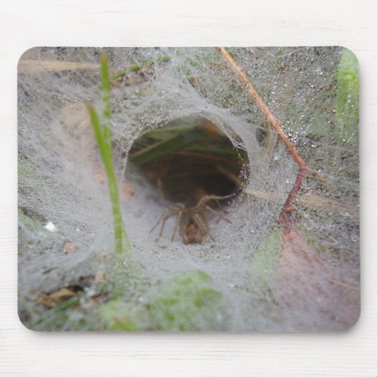 European Funnel Web Spider Mouse Mat Muismat (Voorkant)