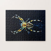 European Garden Spider 11x14 252pc jpcn Legpuzzel (Horizontaal)