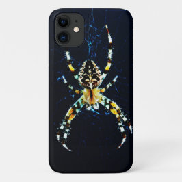 European Garden Spider iphm Case-Mate iPhone Case