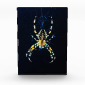 European Garden Spider PBCNA Fotoblokken (Voorkant)