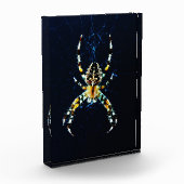 European Garden Spider PBCNA Fotoblokken (Links)