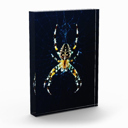 European Garden Spider PBCNA Fotoblokken (Links)