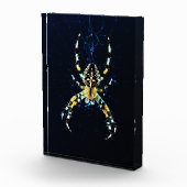 European Garden Spider PBCNA Fotoblokken (Rechts)