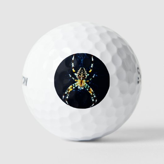 European Garden Spider ssf gbcna Golfballen (Voorkant)