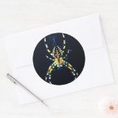 European Garden Spider-stick Ronde Sticker (Envelop)