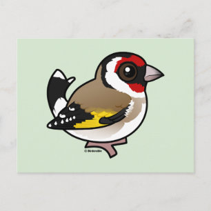 European Goldfinch Briefkaart