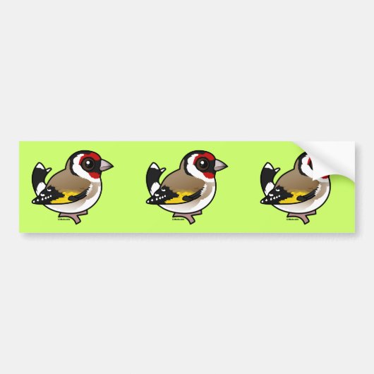 European Goldfinch Bumpersticker (Voorkant)