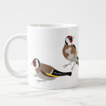 European Goldfinch