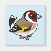 European Goldfinch Magneet (Voorkant)