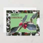 European Holly with Snow Merry Christmas Postcard Briefkaart (Voorkant / Achterkant)