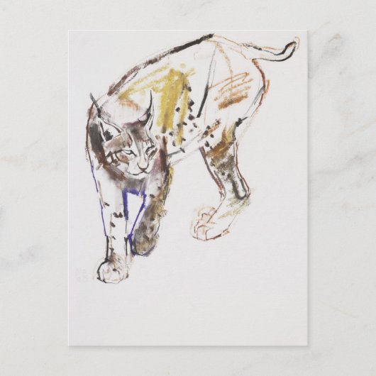 European Lynx Briefkaart (Voorkant)