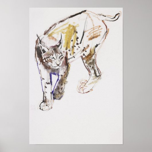 European Lynx Poster (Voorkant)