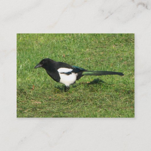 European Magpie Visitekaartje (Voorkant)