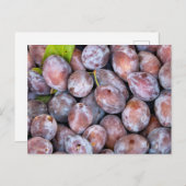 European plums briefkaart (Voorkant / Achterkant)