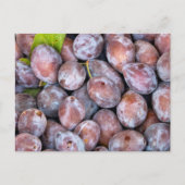 European plums briefkaart (Voorkant)
