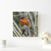 European Robin Acrylic Wall klok (Huis)
