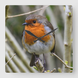 European Robin Acrylic Wall klok