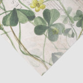 European Robin Bird Flowers French Music Decoupage Tissuepapier (Detail)